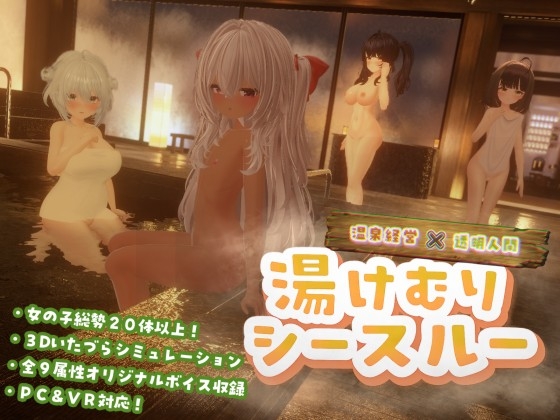 温泉旅館3Dいたづらエロシミュレーションゲーム 湯けむりシースルー